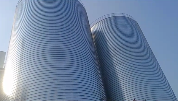 哈巴河2座混凝土高架卷板仓